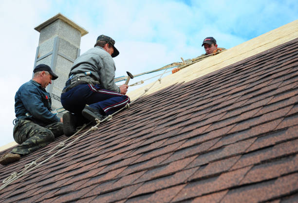 Best Best Roofing Contractors  in Prospect Rk, PA
